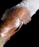 Leaks Stratford Upon Avon